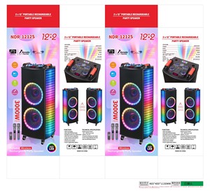 NDR-1212S Dual 12-Inch Horn Trolley Speaker High-Power 100 Watt RGB LED Battery Operated Remote <strong>Control</strong> Parties <strong>Computer</strong> <strong>Use</strong> - Product Image 6