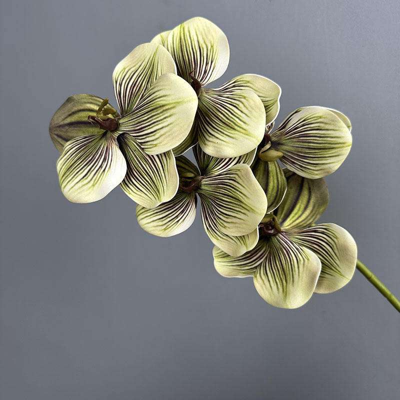 Branchlets Elfe vert vandéen à cinq têtes