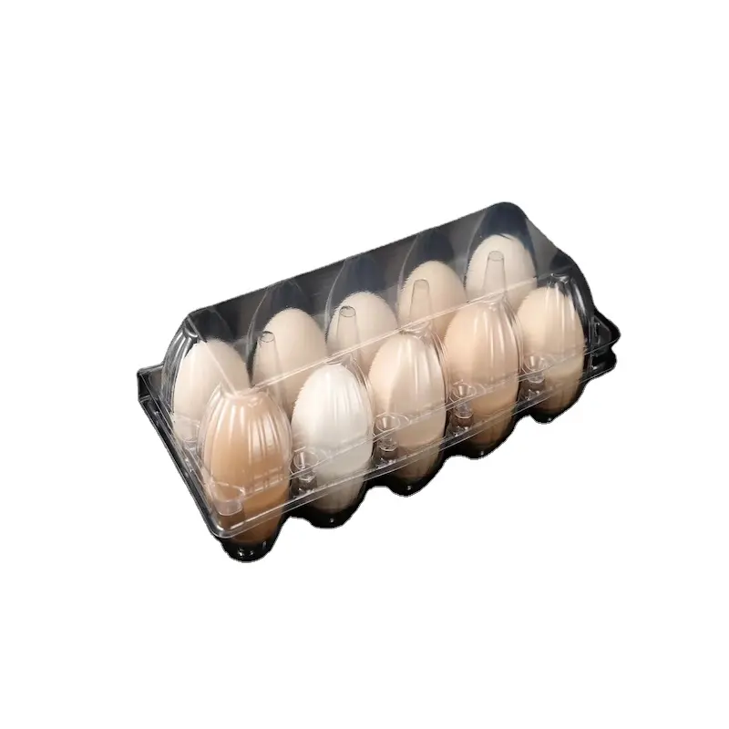 Embalaje de caja de huevos de 12 agujeros para mascotas de poliestireno recién llegado