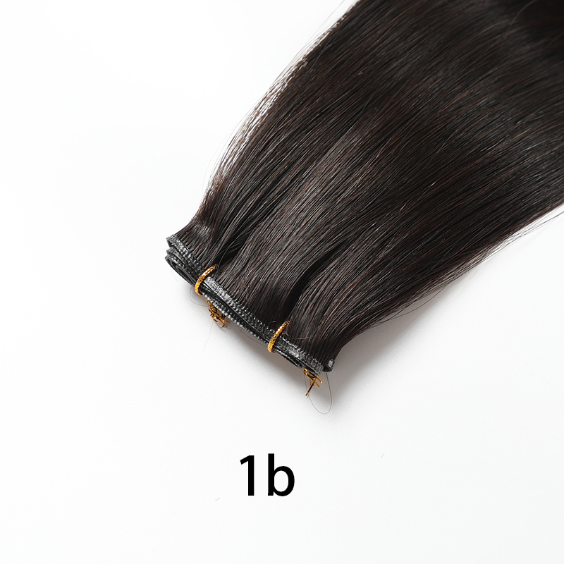 1b