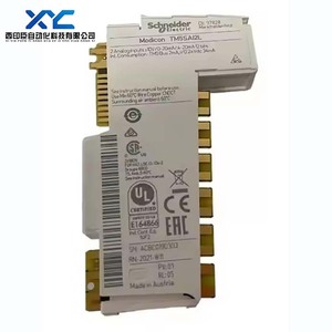 TM5SAI2PH TM5SAI2TH for Schneider <strong>Analog</strong> <strong>Input</strong> <strong>Module</strong> 100% Brand New and Original in Stock