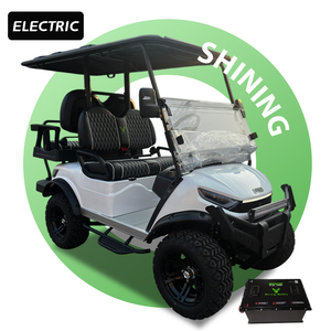 Shininglsv bán buôn sang trọng Golf điện Buggy điện off road Golf giỏ hàng để bán - Product Image 1
