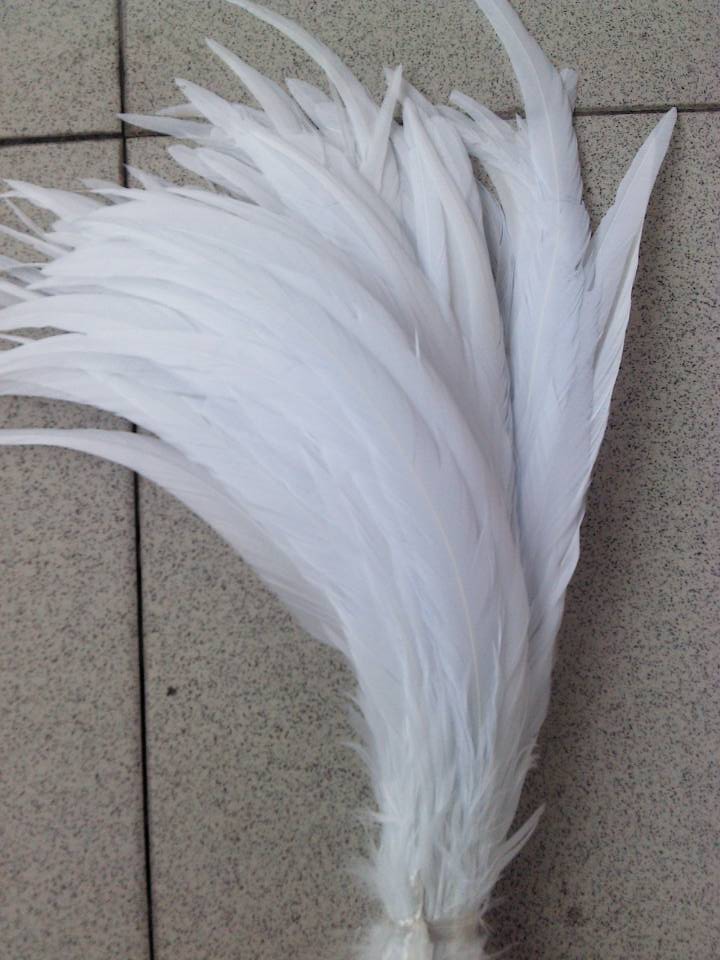 Blanco