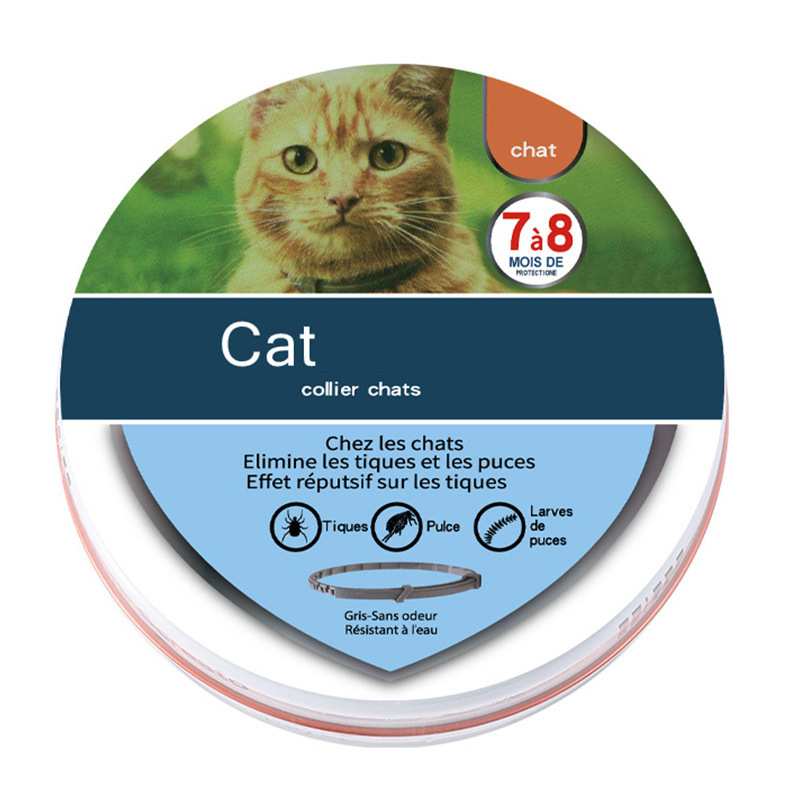 Version chaton français