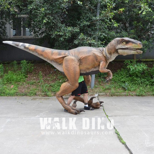 גודל החיים בוסיראפטור dinosauraptor אדם בתוך תחפושת רובוט אנימטרונית דינוזאור מציאותית