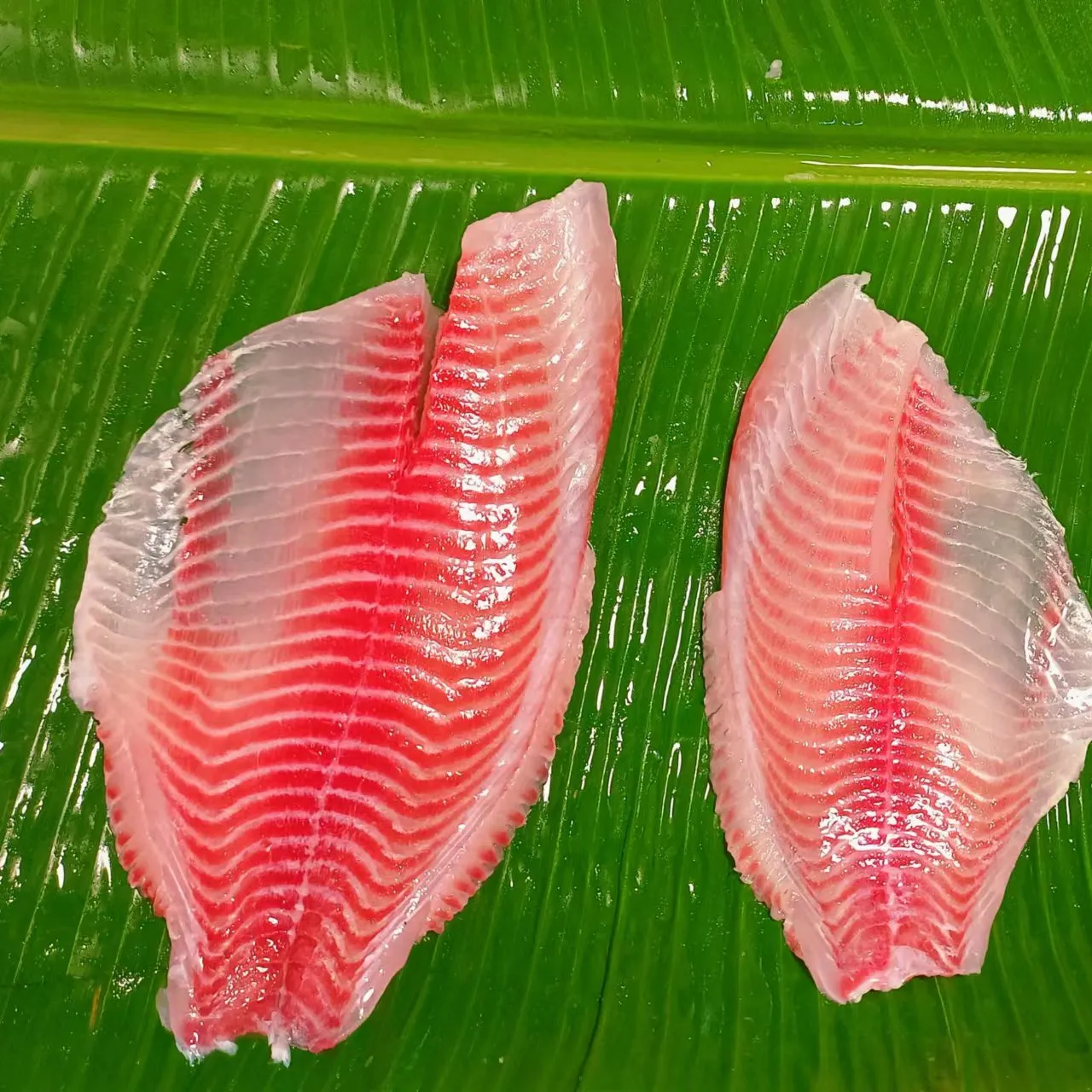 Mercado do méxico cor vermelha frozen tilapia fillet