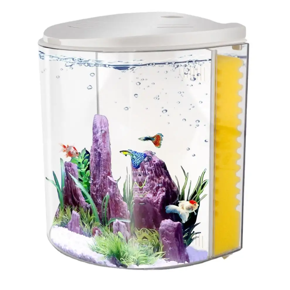 Mini boîte de poissons Betta en plastique, Aquarium à bas prix