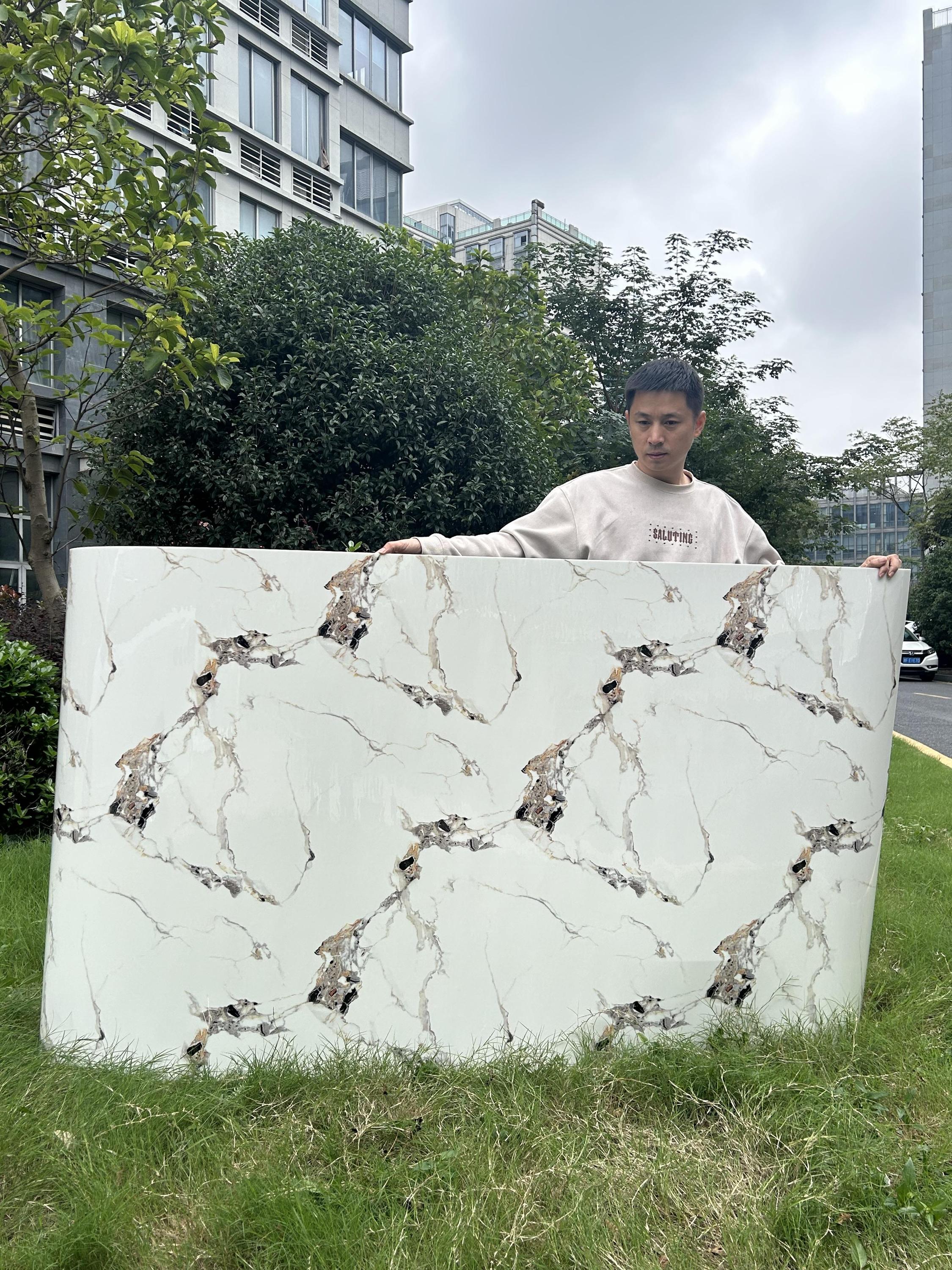 Figure principale 1