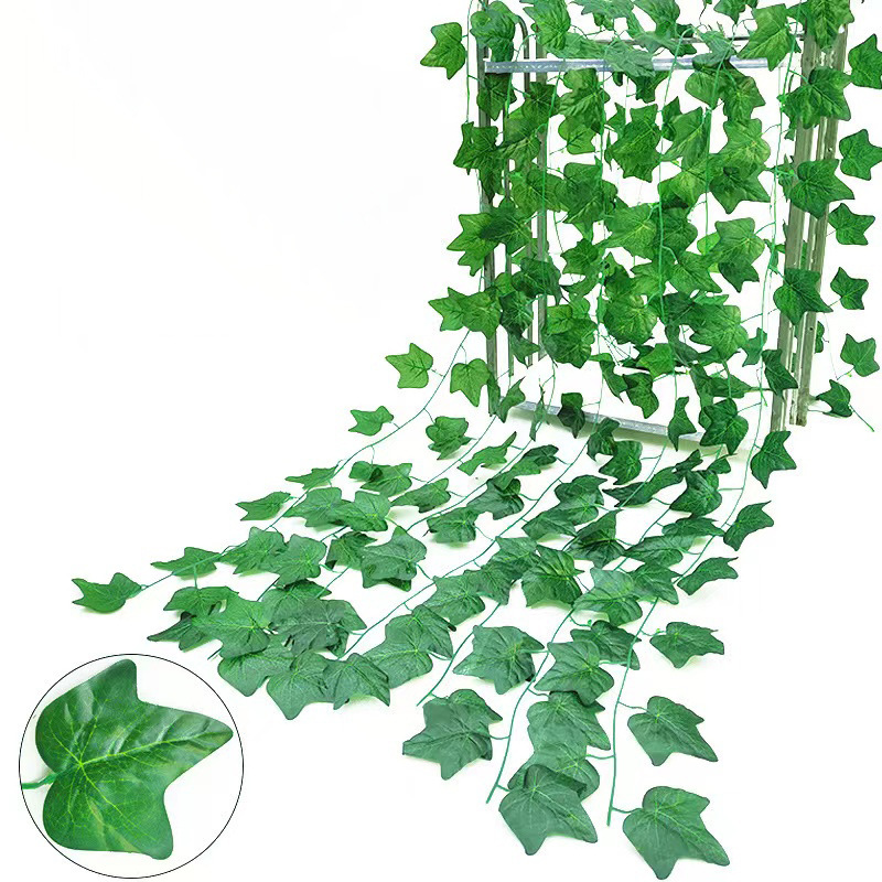 36 feuilles vertes de patate douce de 2,3 m de long