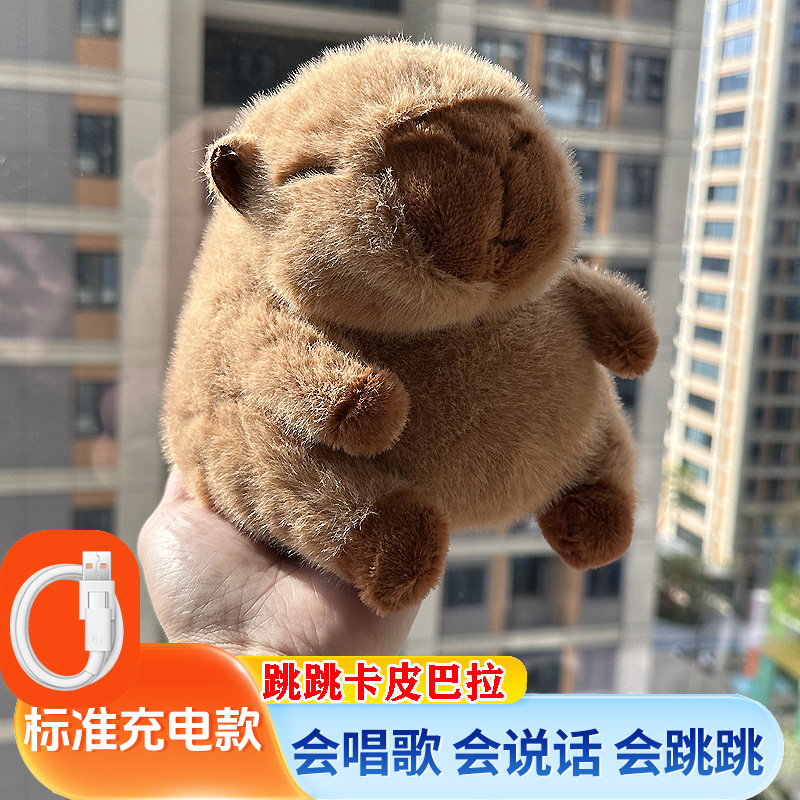 rechargeable jumping ball-kapibara + usb cable