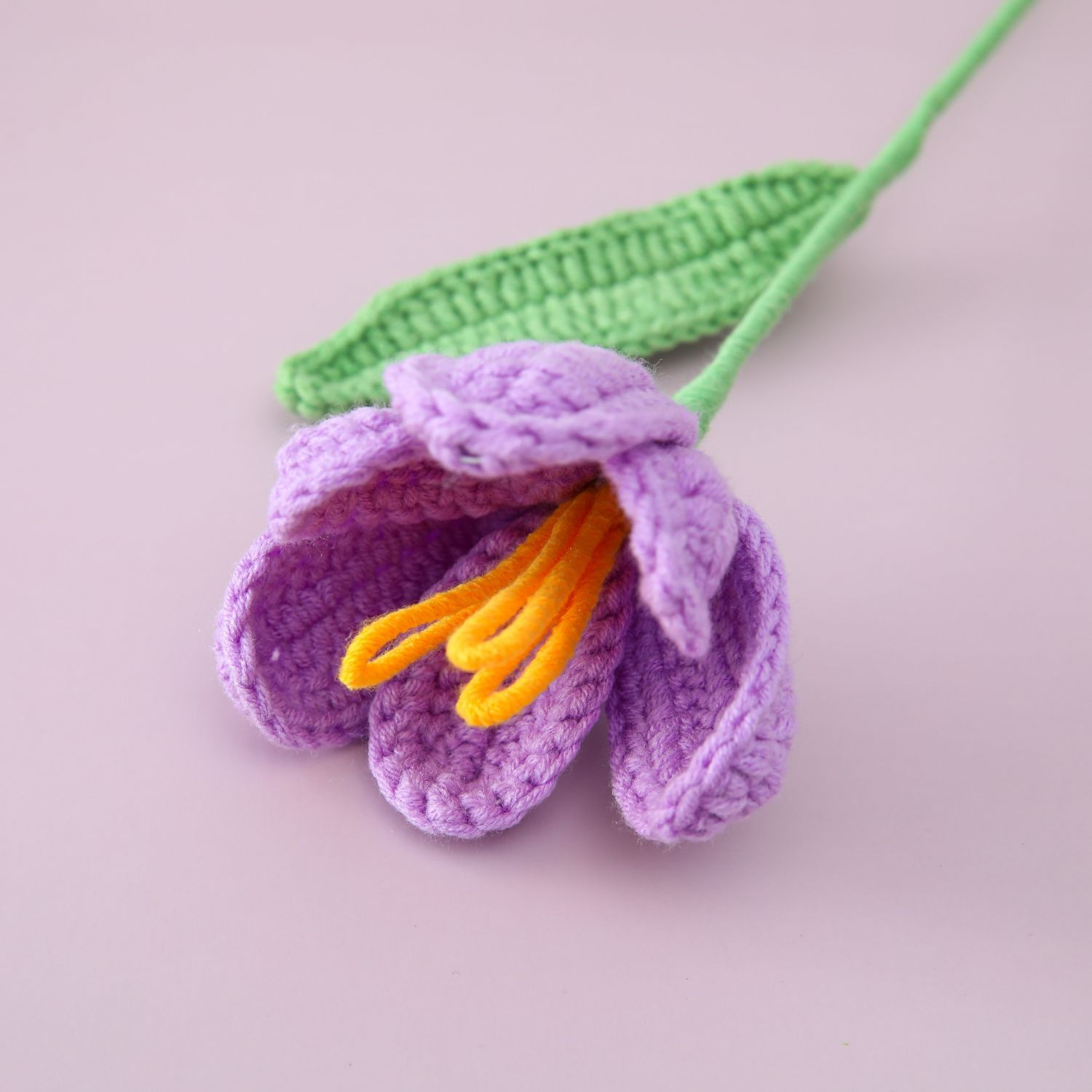 Pourpre