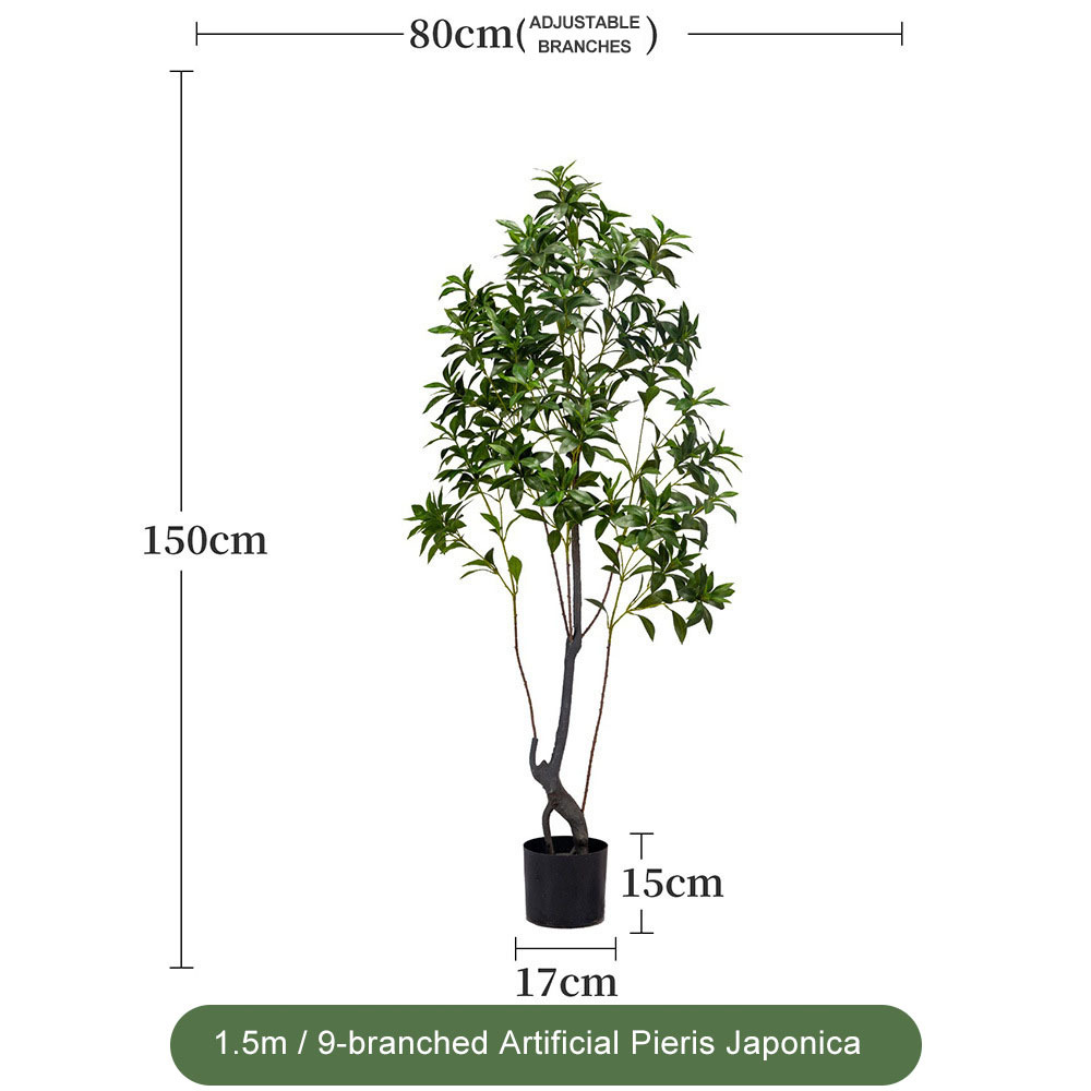 VERT 1,5 m - 9 branches Pieris japonica - Feuillage plus dense (version améliorée)