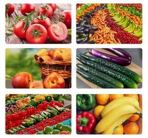 Fabrik preis Obsts ortier maschine Zum Verkauf/Apfel frucht Automatische Sortiermaschinen/Gemüse-und Obsts ortier maschine - Product Image 6