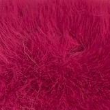 Rose Rouge