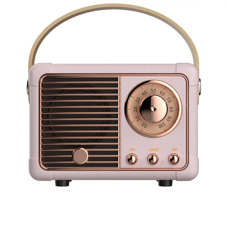 Haut-parleur rétro bt avec machine à karaoké à domicile Micros karaoké portables Radio multimédia Caisson de basses portable sans fil