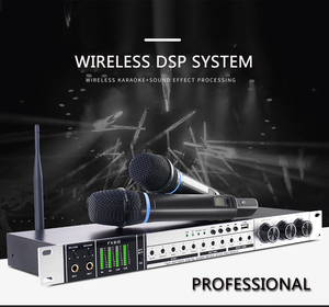 Chargeable Handheld <strong>Microphone</strong> BT <strong>Audio</strong> Processor DSP Digital Effects Sound Processor <strong>Audio</strong> with Wireless <strong>Microphone</strong> - Product Image 2