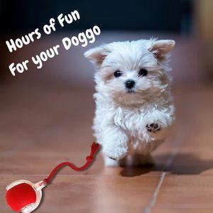 Juguetes interactivos de entrenamiento, juguetes de hierba gatera que se mueven automáticamente para gatos, pelota eléctrica para mascotas, pelota rodante automática, juguetes inteligentes para gatos - Product Image 2