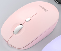 2.4g Pinkish Red Dry Battery