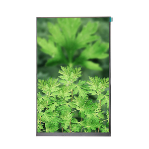 Hoch auflösendes 10,1-Zoll-TFT-LCD-Anzeigemodul mit RGB-Schnitts telle und LED-Hintergrund beleuchtung OEM-Bildschirm mit wettbewerbs fähigem Preis