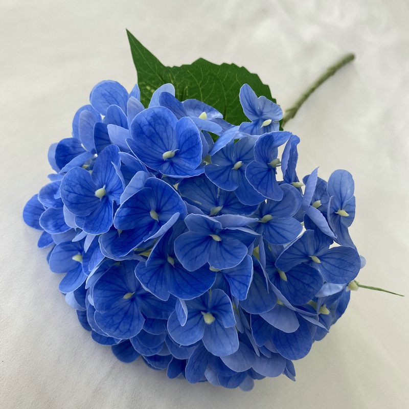 Azul real