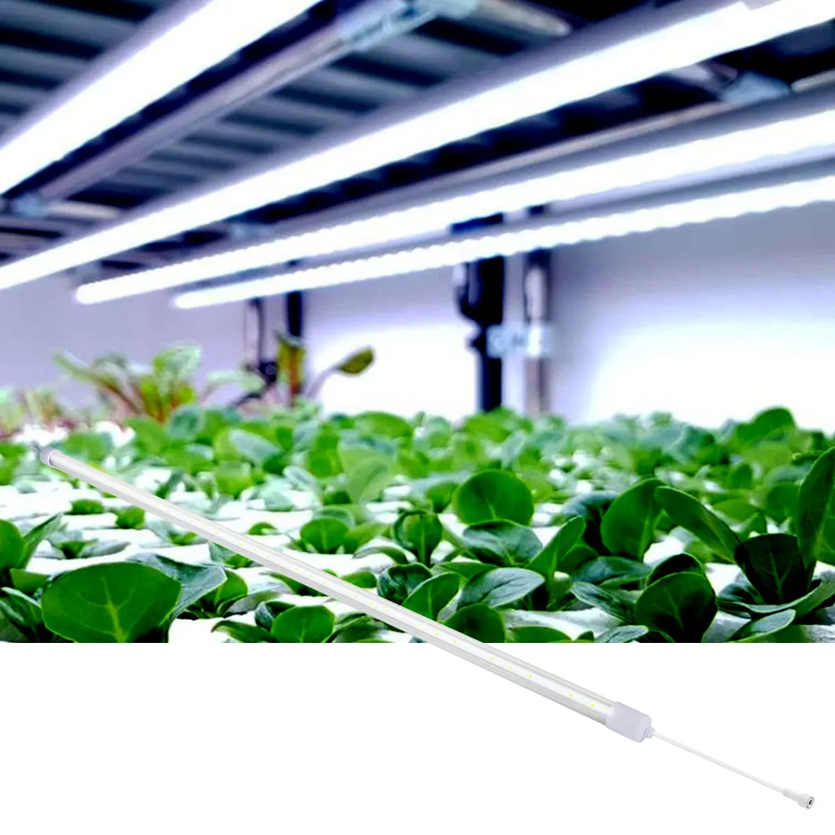 Tubo de luces led T5 para cultivo de plantas de interior, espectro personalizado, 14w, 28w, gran oferta