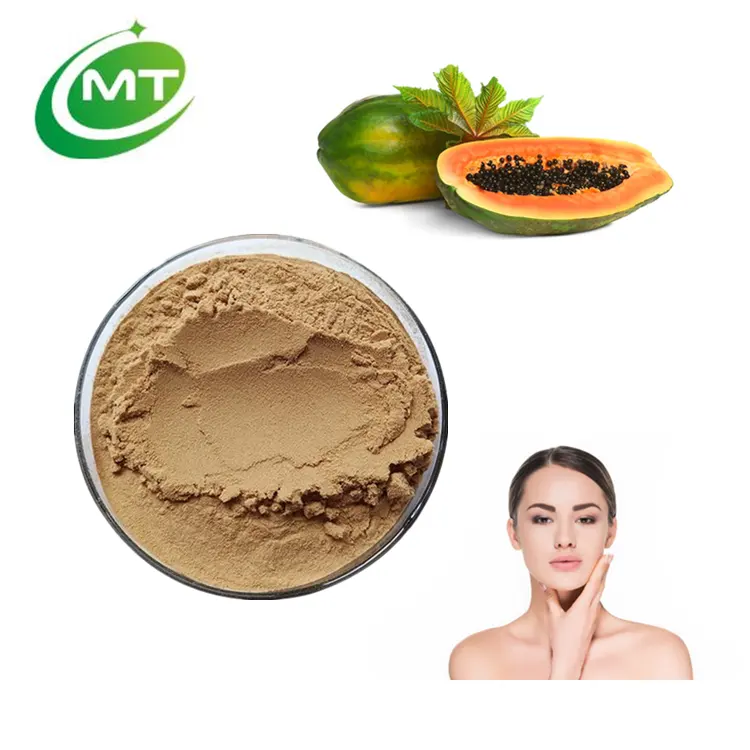 Organische hochreine natürliche Carica Papaya L. Carica Papaya Extrakt Papaya Samen extrakt Pulver für die Hautpflege in der Kosmetik