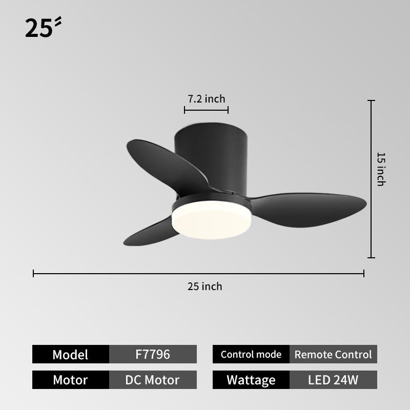 25 PULGADAS - Negro