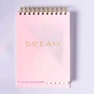 Logotipo personalizado de fábrica Mini diario Cuaderno de bolsillo de hojas sueltas Bloc de notas en espiral pequeño