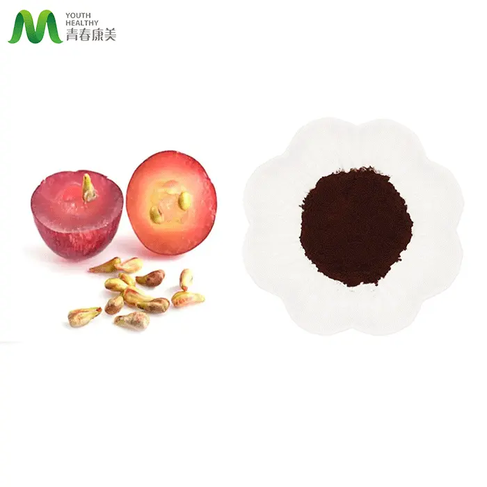 GMP Standard Factory Supply Cosmetics Grape Seed Extract