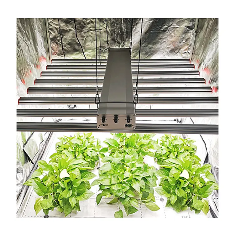 Agricultural Greenhouses Hydroponic Greenhouse Systems Grow Lights 1000 For Indoor Plants Vegetable Seeds