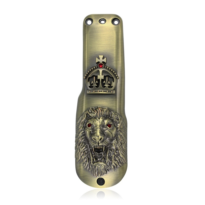 Lion Copper