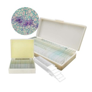 Professional Basic <strong>Slides</strong> Connective Bean Leaf Prepared <strong>Microscope</strong> <strong>Slide</strong> with Great Price for Medical Science Prepared <strong>Slides</strong> - Product Image 6