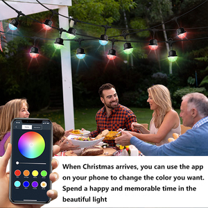 OEM intelligente LED Lichtstränge Gartenbeleuchtung Girlande Musik Synchronisation Farbwechsel Glühbirne APP Gruppensteuerung Timer RGB LED Stringlicht - Product Image 3