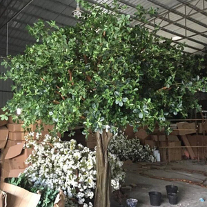 Yapay büyük incir ağacı Ficus Banyan ağacı büyük yapay ağaç - Product Image 2