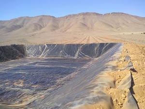 Filipinler en çok satan takviyeli HDPE geomembran astar gölet baraj astar içeren tanklar için PVC LDPE polietilen EPDM - Product Image 6