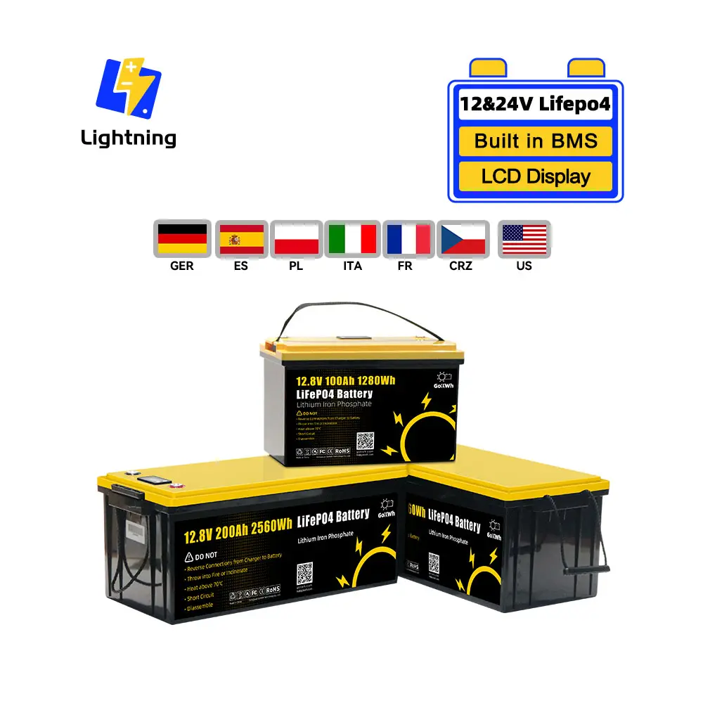 GoKWh 12V 24V Lithium 100Ah 200Ah Lifepo4 LFP Batterie für Solar RV Caravan Marine Troll ing Camper Van