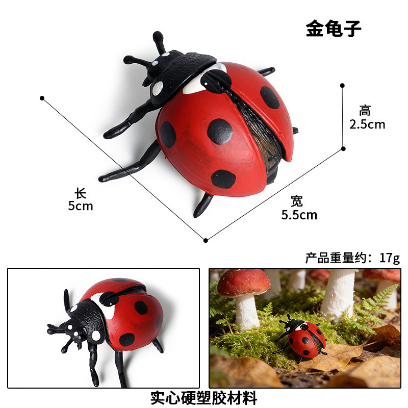 Coccinelle à sept points colorée M-658