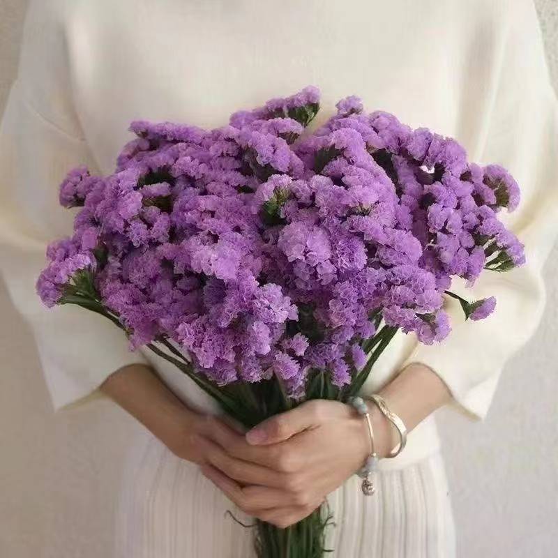 Lavanda