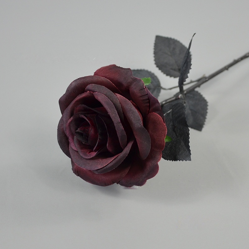 Varilla negra, rojo vino