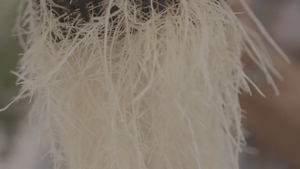 Reinfa Aero dọc hệ thống bền vững, đất trồng trọt miễn phí cho sôi động, dinh dưỡng dày đặc sương microgreens - Product Image 6