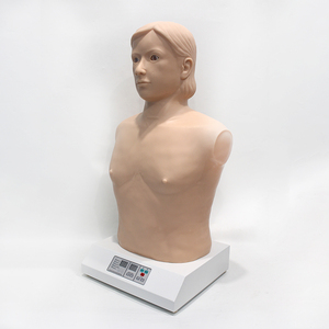 Full-automatic Heart-lung <strong>Palpation</strong> and Auscultation Computer Simulator (stand-alone Version) - Product Image 4