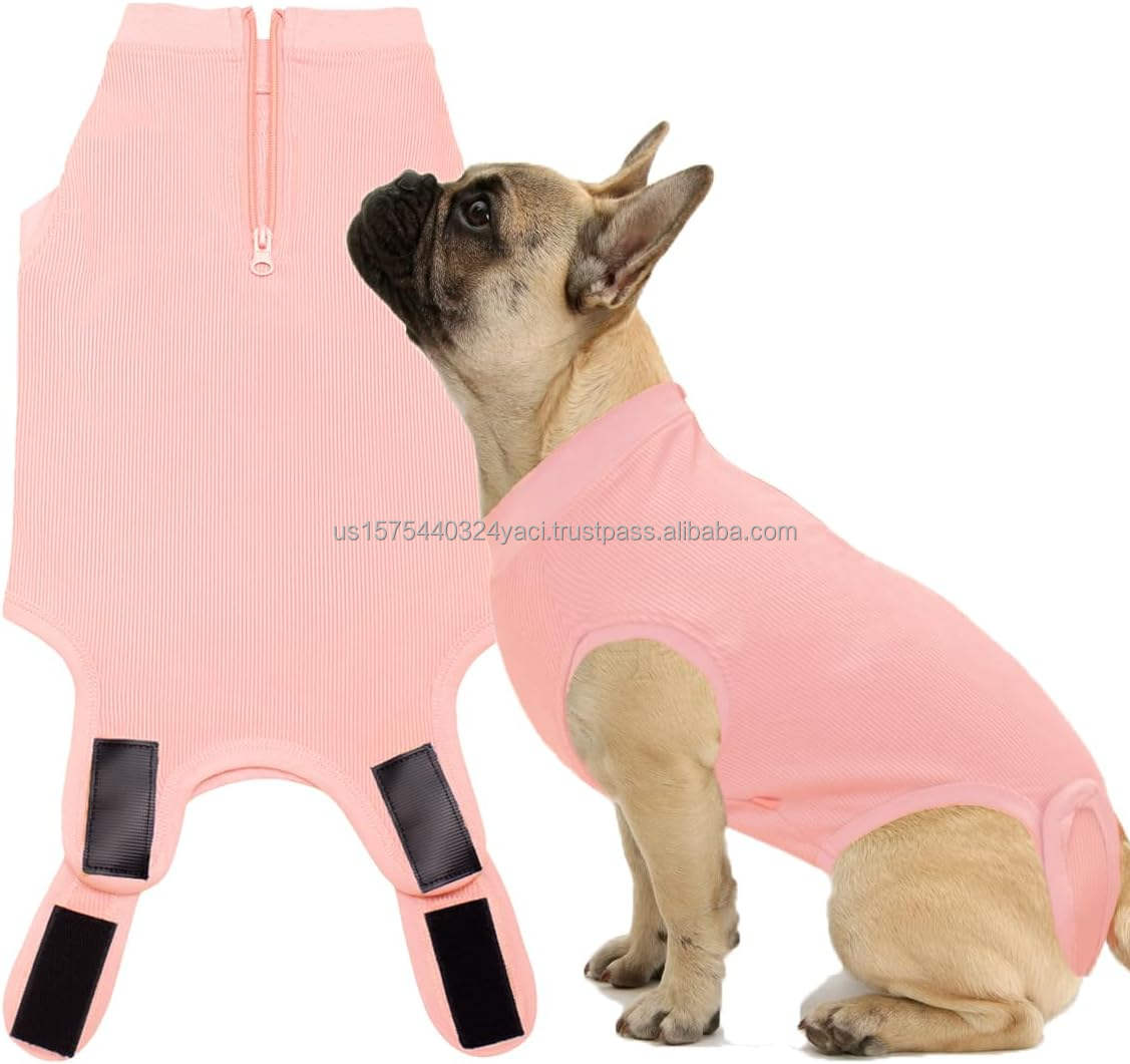 เปลือกปะการังสีส้ม