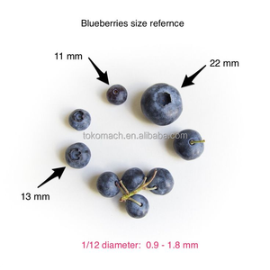 Automatic Fruit <strong>Classifier</strong> Machine Fresh Blueberry Sorting Machine Blueberry Grading Sorting Machine - Product Image 6
