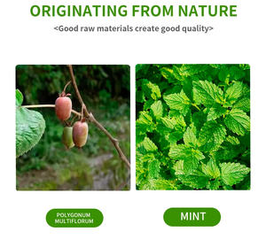 Custom Pet Toy Shape 360-degree Rotating Naturally Cat Mint Ball <strong>Catnip</strong> Ball Delight Mood Pet <strong>Catnip</strong> Wall Ball - Product Image 2