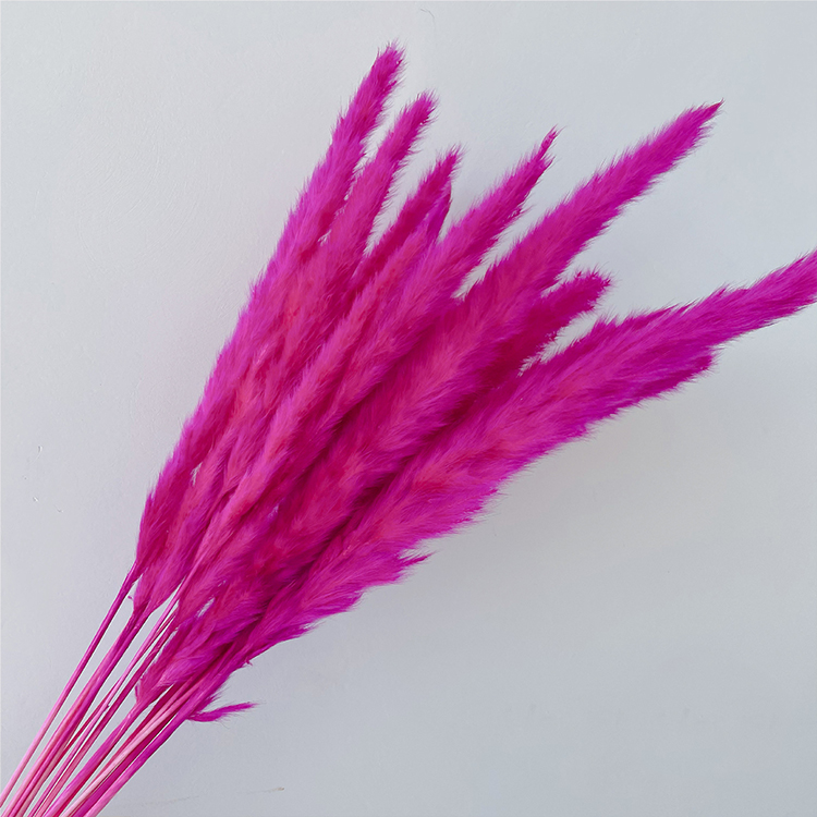 Bouquet d'herbe de la pampa 4