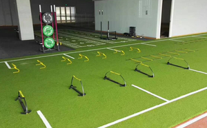 Özel işaretler ile spor klima alanı için spor salonu çim halı çim.