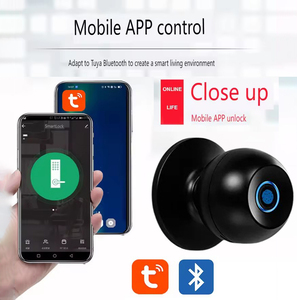 Akıllı ev parmak izi kapı kilit anahtarsız giriş kapı topuzu küresel kilit Tuya App kontrolü ile - Product Image 3