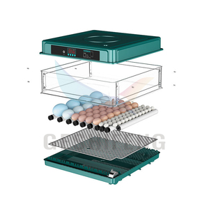 2024新しい卵インキュベーター10〜128個容量ローラータイプ自動小型家禽卵インキュベーター - Product Image 6