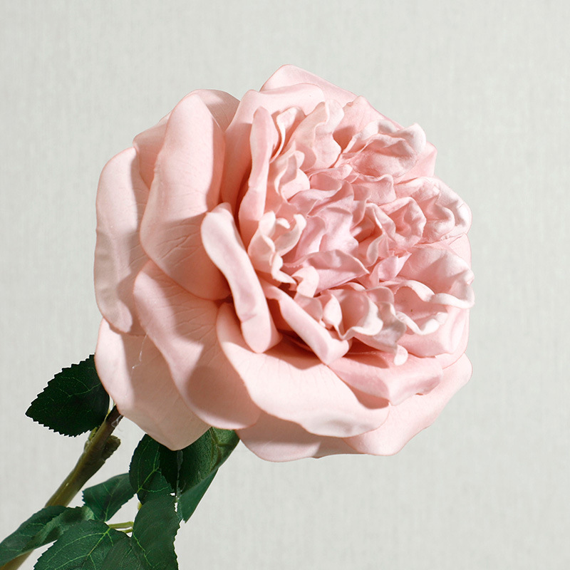 Pink2