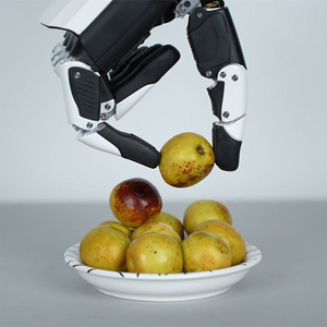 H1 insansı robotlar, araştırma laboratuarları, ar-ge merkezi ve üniversite araştırmaları için robotları RH56DFTP insansı Robot eli ilham - Product Image 5